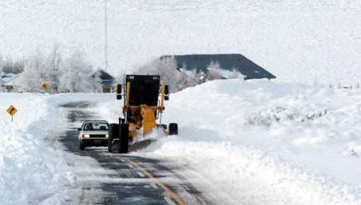 Un intendente les pidió a los dueños de campos que no abandonen a los peones en la nieve