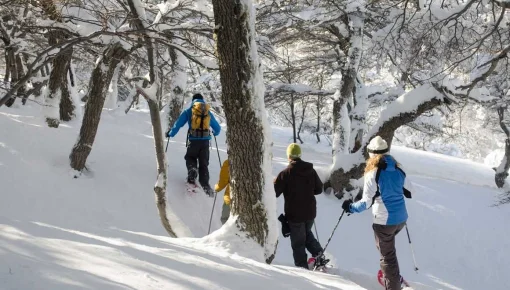 Esquel: caminatas por el bosque y la montaña en La Hoya