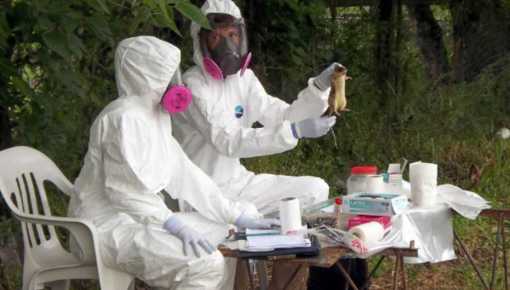 Confirmaron dos nuevos casos de hantavirus y ya suman 34 en Chubut