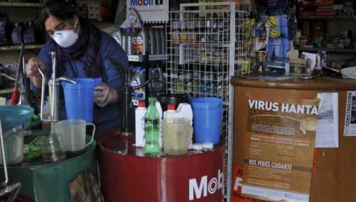 Detectaron el primer caso autóctono de hantavirus en Santa Fe
