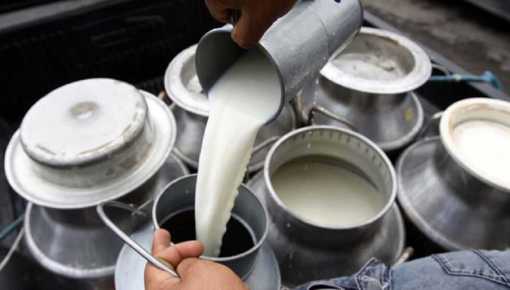 Leche 40% más barata por un sistema de pasteurización