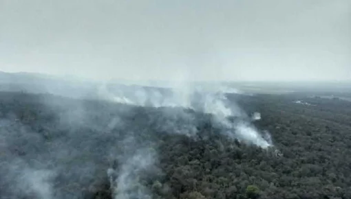 Contienen gran incendio en las yungas jujeñas pero preocupan dos nuevos focos