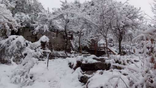 Ola polar: ¿se viene la nieve?