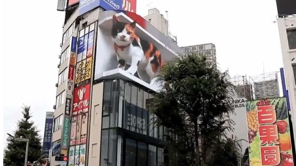 altText(Un gato gigante en las calles de Japón)}