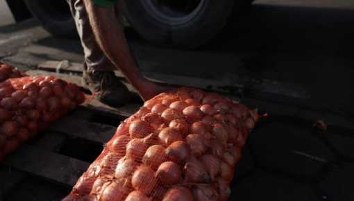 Consumidores pagan el quíntuple de lo que ganan los productores