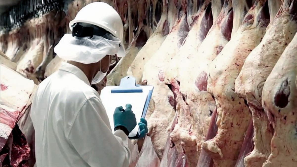 altText(Prorrogan hasta fin de octubre restricciones para exportar carne)}