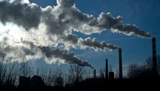 Fuerte compromiso ciudadano con el cuidado ambiental