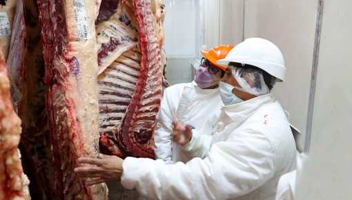 Puja por los precios: en qué coinciden productores de carne y el Gobierno