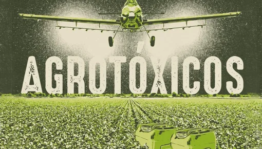 ¿Tenés agrotóxicos en tu cuerpo?