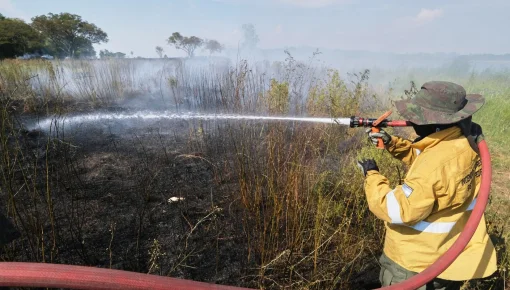 Incendios en bosques dejan a Corrientes en estado de emergencia