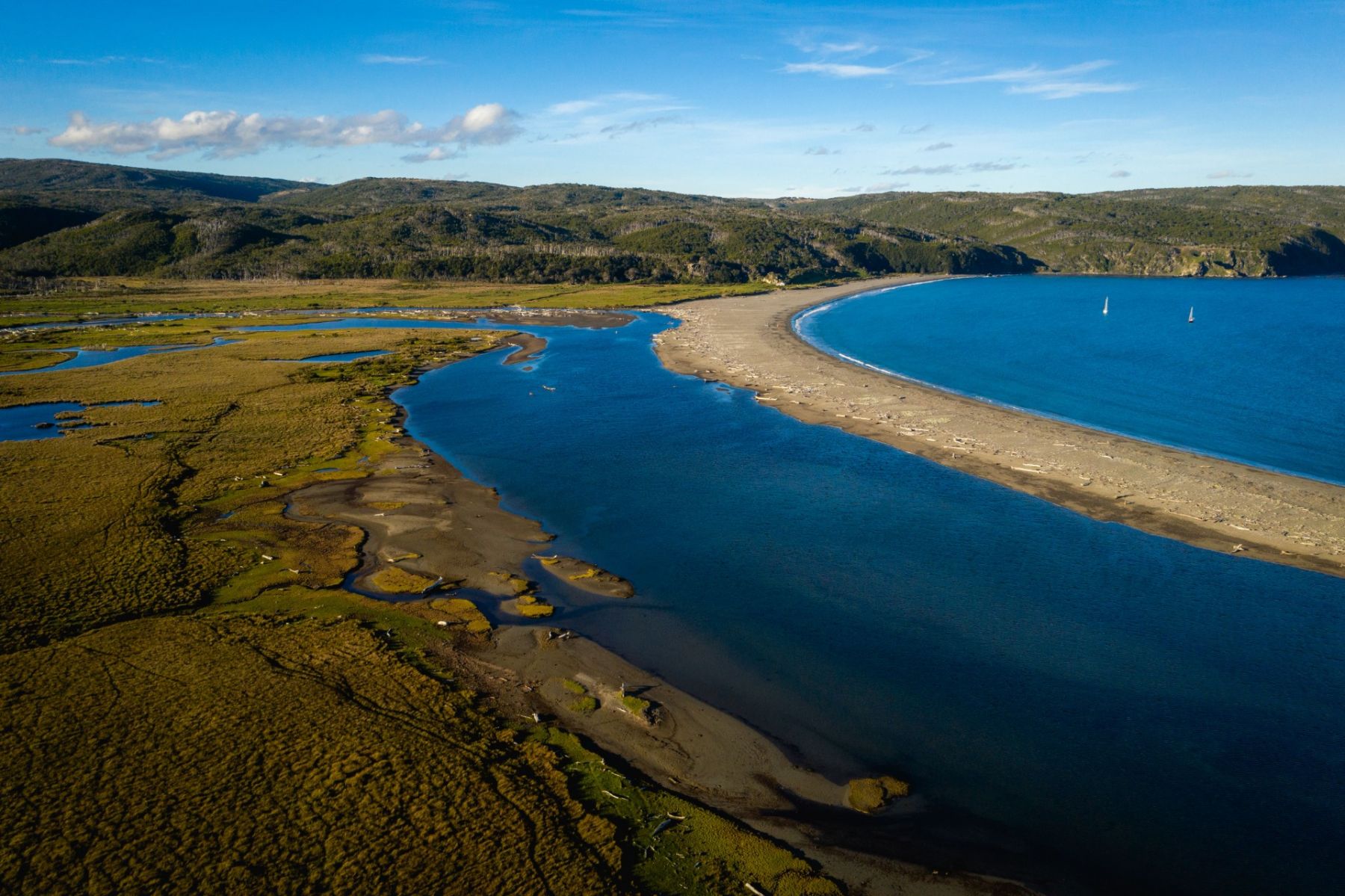 Península Mitre es la mayor reserva de turba de Sudamérica. Foto de Joel Reyero. 