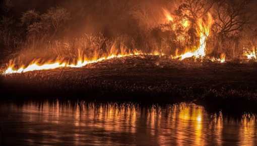Así no hay forma de frenar los incendios: más desmonte ilegal en San Nicolás