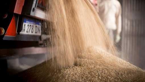 Multa multimillonaria a Molinos Cañuelas por la infundada suba de precios de harina