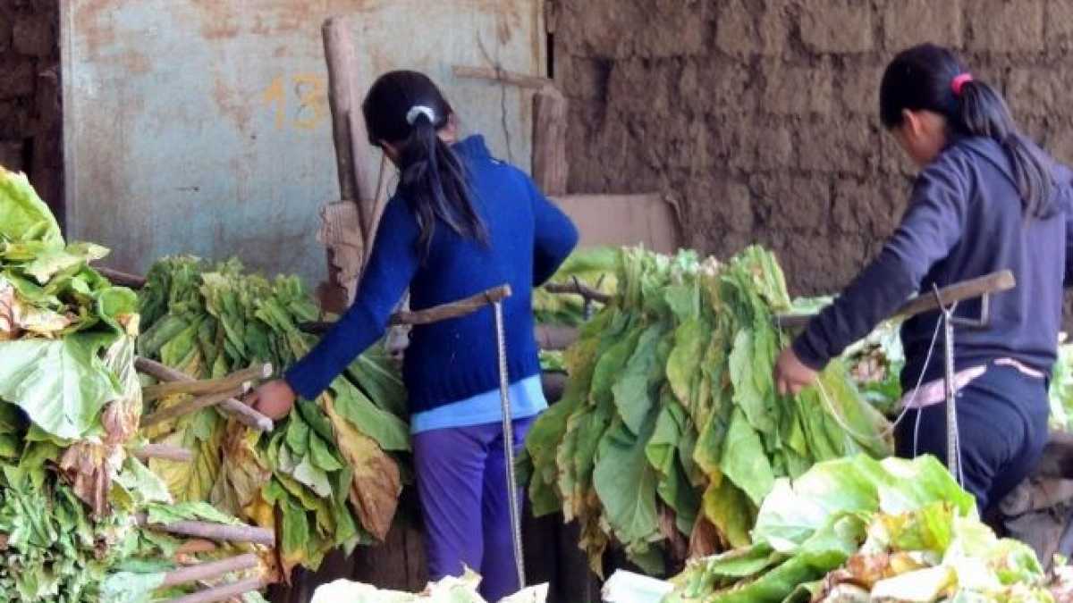 Trabajo infantil (archivo Télam)