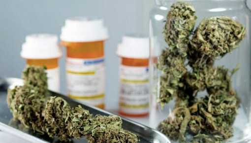 La marihuana medicinal generará 