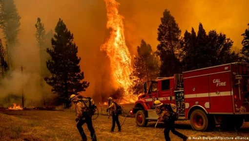 Desastre ambiental en California: los incendios forestales están descontrolados