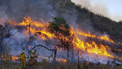 altText(Nada es casualidad: cinco provincias registran incendios forestales activos)}