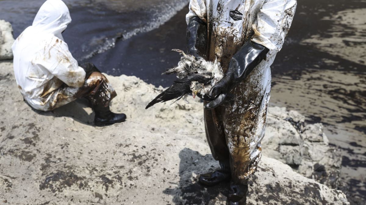 altText(Offshore de la muerte: 19 playas siguen contaminadas en Perú tras el derrame de Repsol)}
