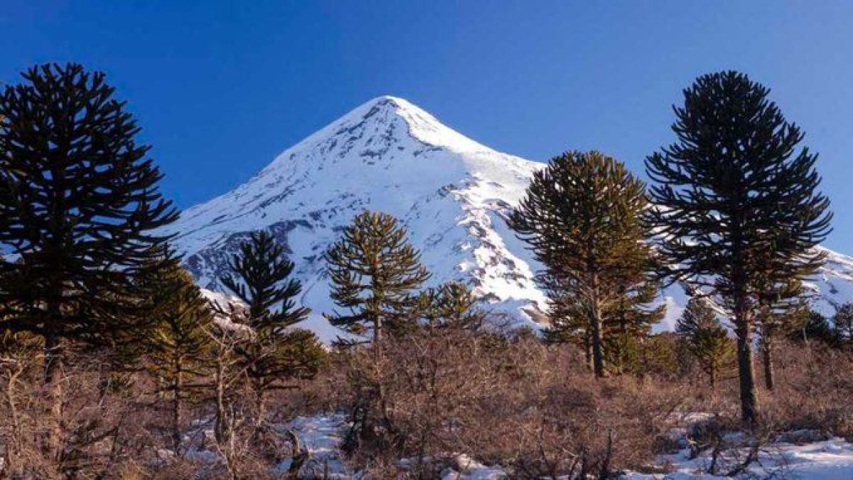 altText(Movilización mapuche para rechazar derogación sobre el volcán Lanín)}