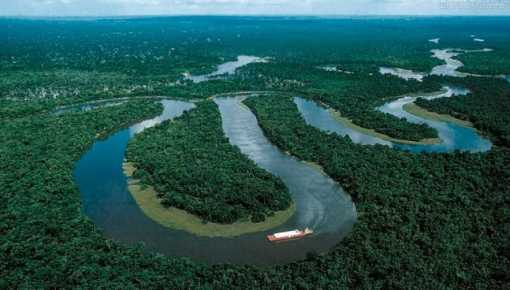 La Amazonía y su importancia en la biodiversidad sudamericana