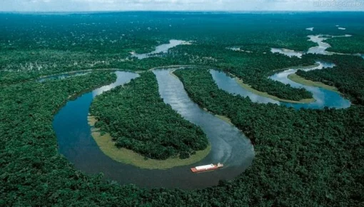 La Amazonía y su importancia en la biodiversidad sudamericana