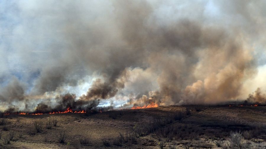 Incendios en el Delta del Paraná (Telam)