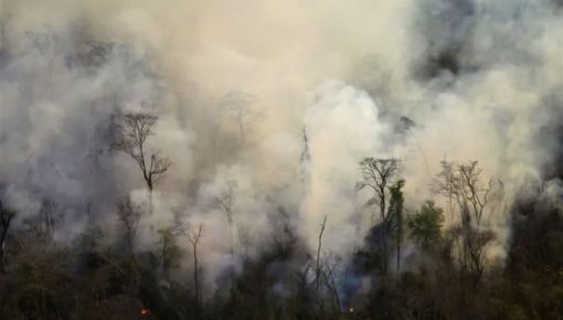 altText(Agro-incendios en la selva de Yungas: ya quemaron casi 7 mil hectáreas)}