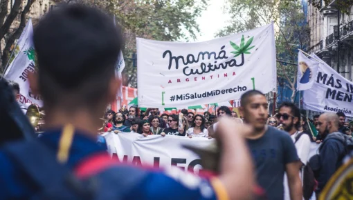 Otorgan tierras a Mamá Cultiva para producir cannabis medicinal