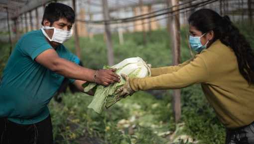 La Primera Feria Agroecológica Bonaerense en Berazategui