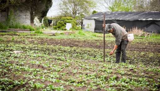 altText(Primer Congreso por la Tierra, la Producción y la Casa Común)}