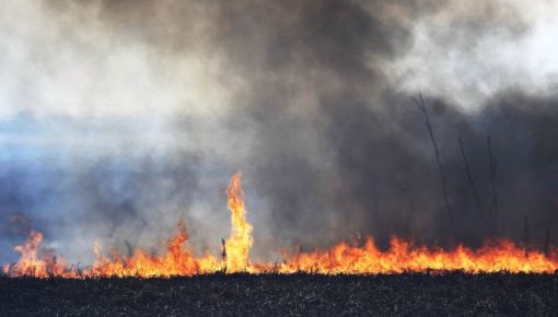altText(Vuelve el humo a Rosario y Buenos Aires: otra vez hay incendios en el Delta del Paraná)}