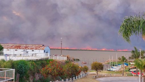 altText(El Delta continúa en llamas y el humo ya llegó a Buenos Aires)}