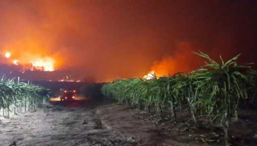 Jujuy, Salta, Tucumán y Catamarca registran focos activos de incendios forestales