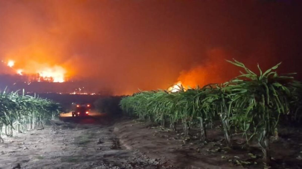 Jujuy, Salta, Tucumán y Catamarca registran focos activos de incendios forestales