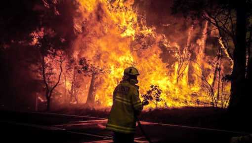 Empezará a funcionar la Unidad de Análisis y Prevención de Delitos Ambientales