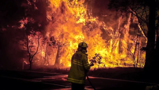 Empezará a funcionar la Unidad de Análisis y Prevención de Delitos Ambientales
