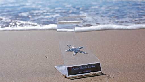 Estrella de Mar 2023: los ganadores