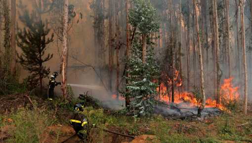 Incendios forestales en Chile: la situación sigue 