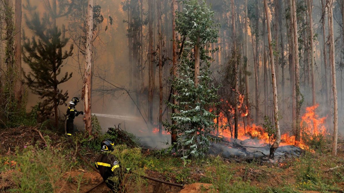 altText(Incendios forestales en Chile: la situación sigue 