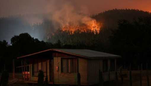 Incendios en Chile: ¿por qué la culpable es la industria forestal?