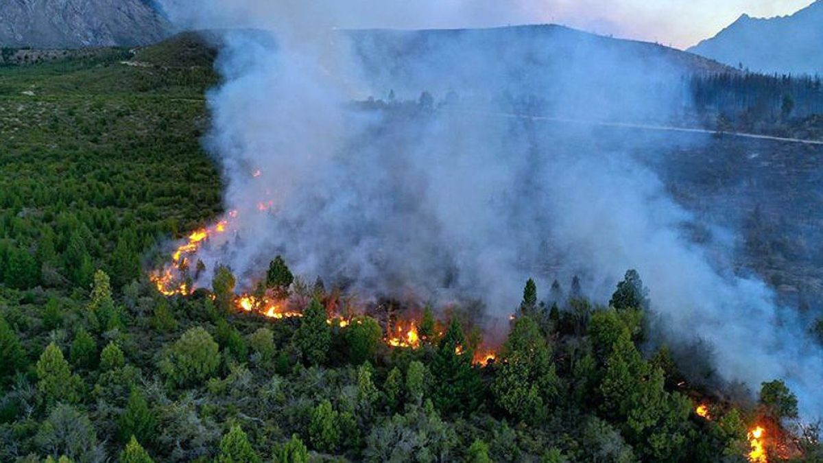 altText(Incendio en El Bolsón arrasa 100 hectáreas de vegetación nativa )}