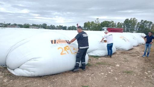 altText(Evasión: la AFIP incautó 270 toneladas de maíz en una planta de acopio)}