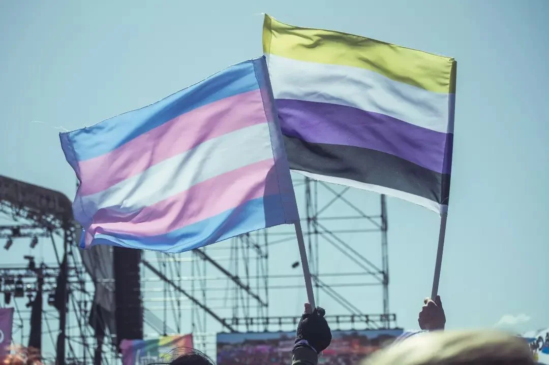 Las banderas trans y no binaria.
Foto: Rocío Bao.