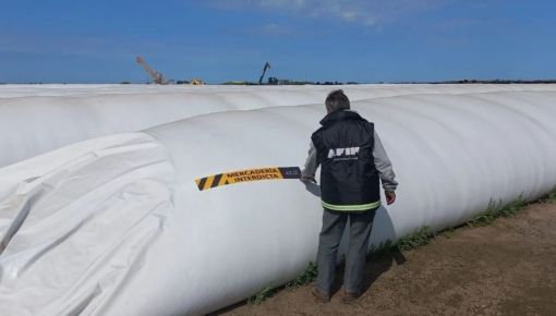 altText(Evasión: AFIP incautó en Córdoba de 490 toneladas de granos)}