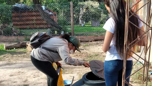 Las claves para la lucha contra el dengue
