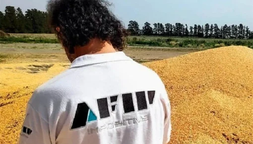 Agroevasión: incautaron 250 toneladas de maíz en Córdoba