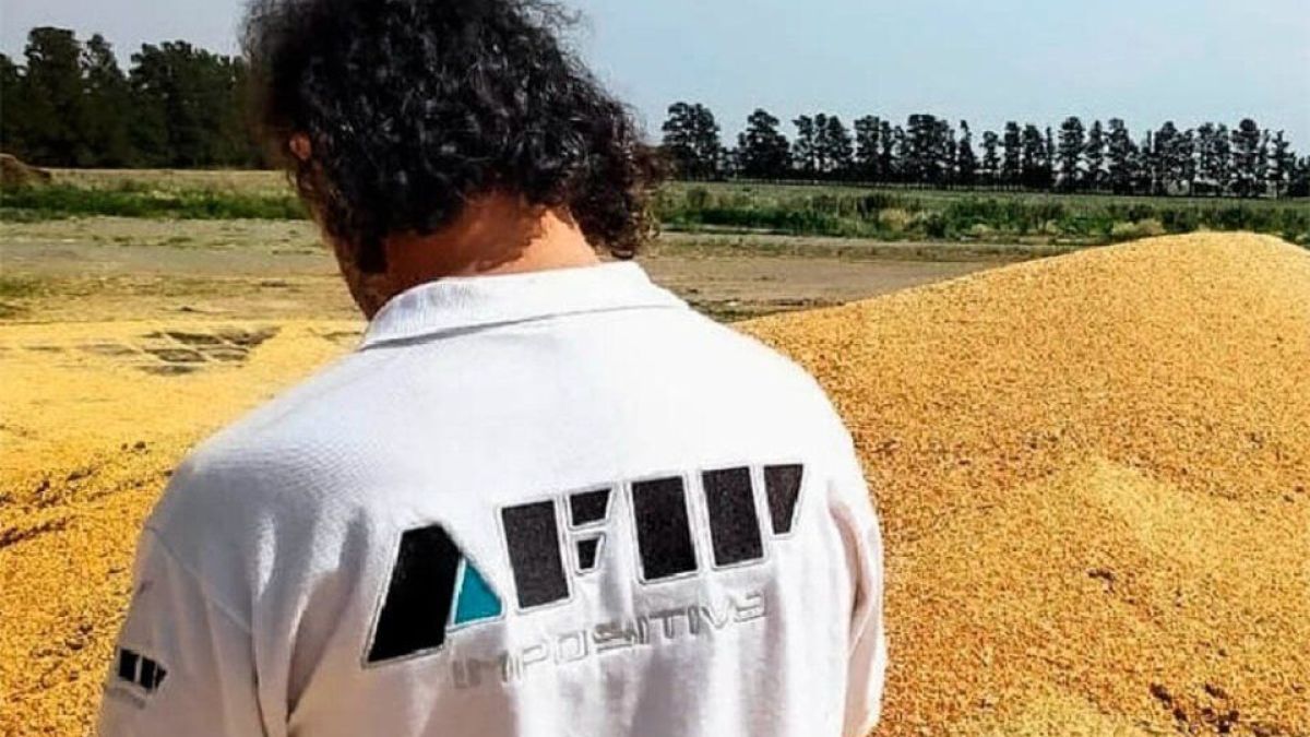 altText(Agroevasión: incautaron 250 toneladas de maíz en Córdoba)}