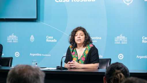 Vizzotti indicó que la curva de casos de dengue 