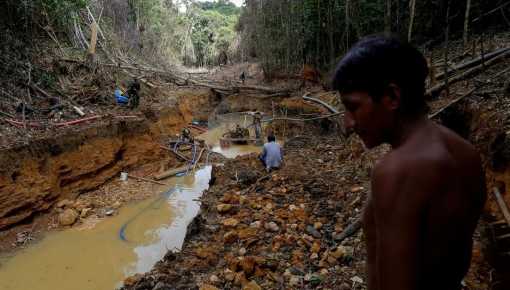 Brutalidad en Brasil: hallan a ocho indígenas asesinados