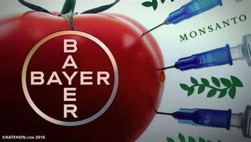 ¿Para cuándo en Argentina? Multan a Bayer en EEUU por mentir